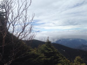 富士山が見えます！