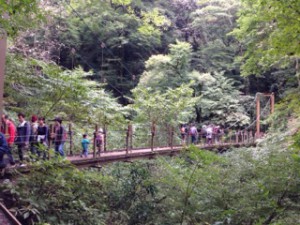 吊り橋
