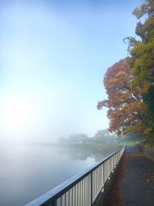 早朝の多摩川